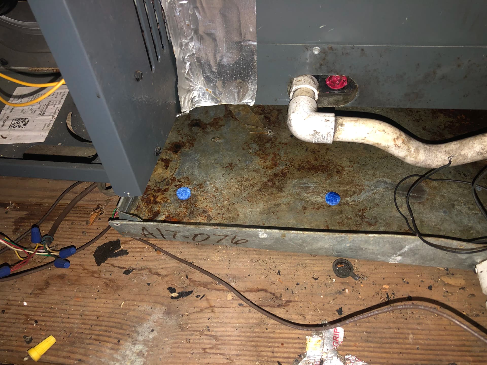 Gallery photos for Dirty Blower Wheel and Clogged Drain Line Cleaned and Cleared: Image #3