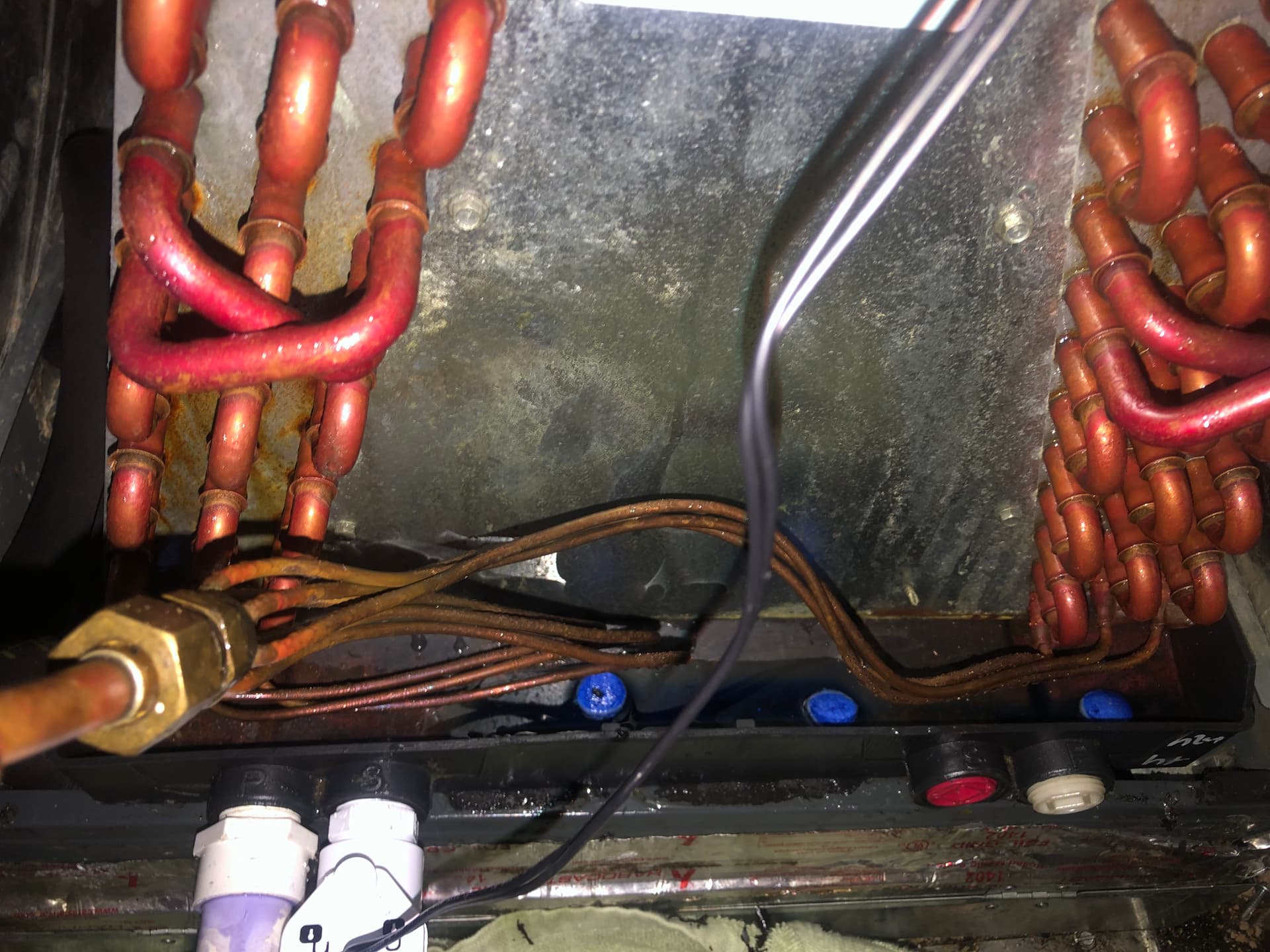 Gallery photos for Condensate Drain Rebuild That Stopped a Small Leak From Getting Worse: Image #2