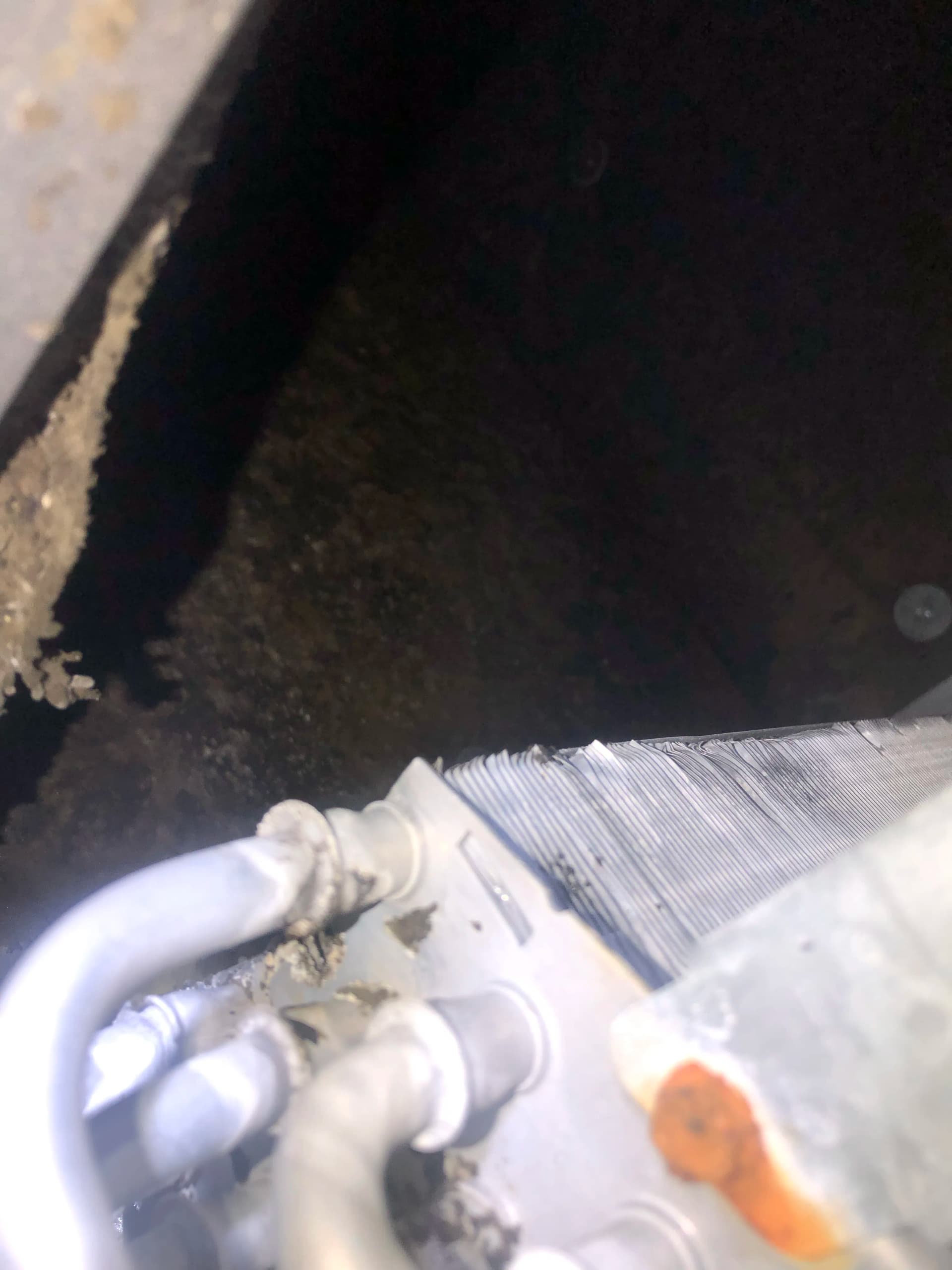 Gallery photos for Clogged Condensate Drain Line Cleared and Treated: Image #2