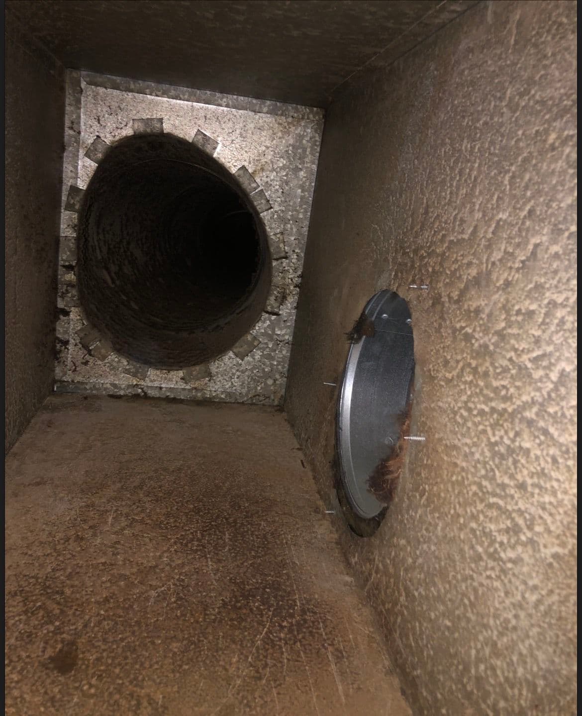 AC Tune-Up Done Right - Return Plenum Cleaning, Coil Cleaning and Refrigerant Check in Memphis image