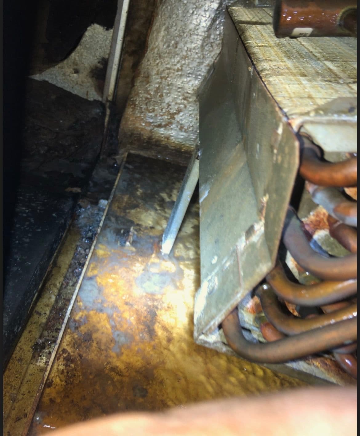 Gallery photos for Clogged Condensate Drain and Dirty Filter Fixed in Memphis: Image #1