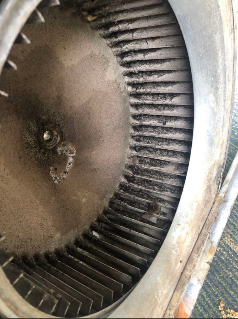 Project Blower Motor Repair and Cleanup for Enhanced Airflow image