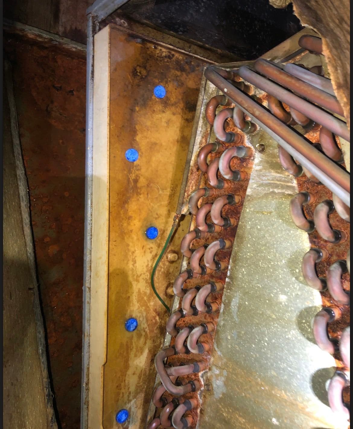 Gallery photos for Clogged Condensate Drain and Dirty Filter Fixed in Memphis: Image #3