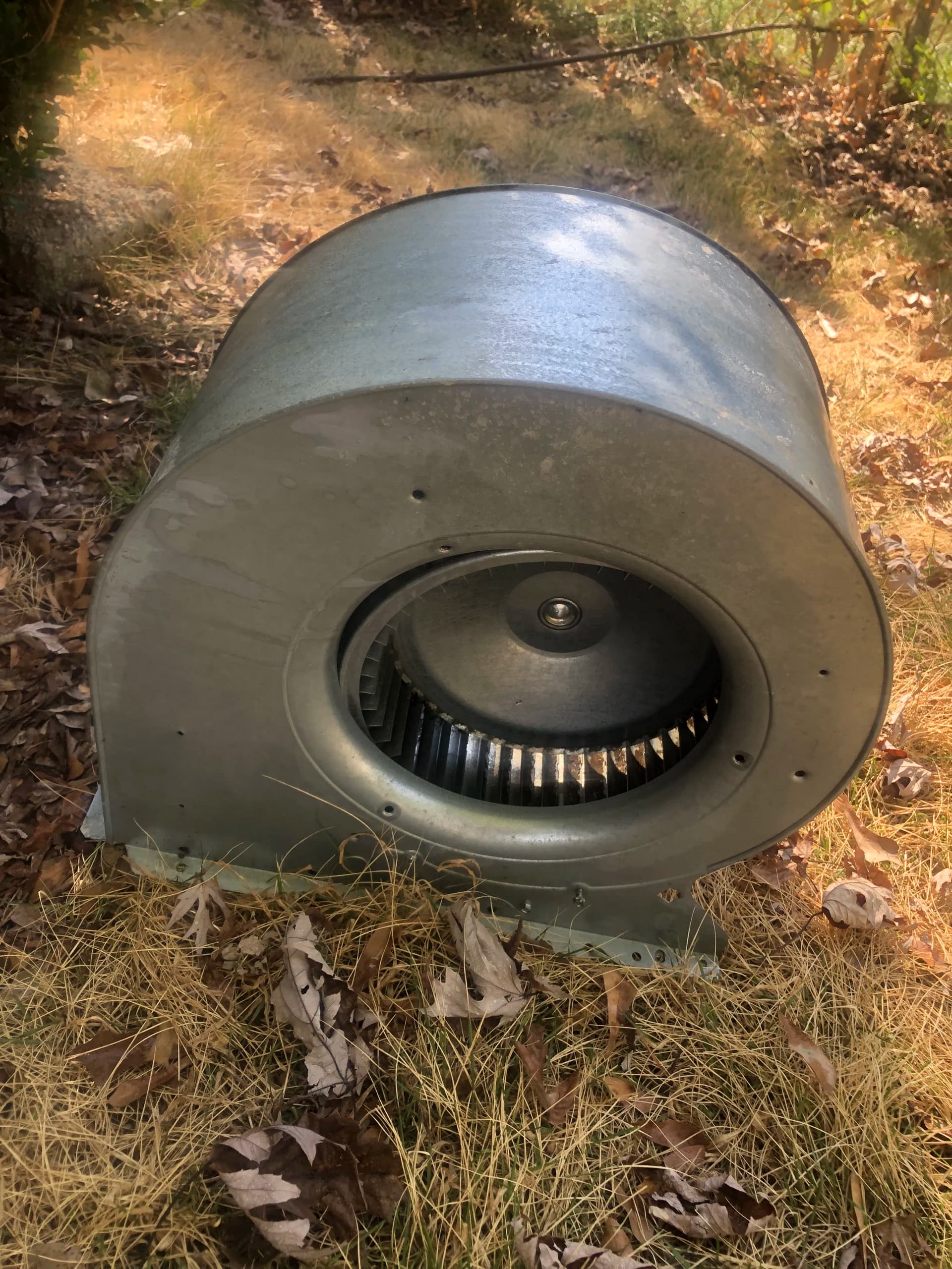 Gallery photos for Clogged Condensate Drain Line and Blower Assembly Cleaning: Image #5
