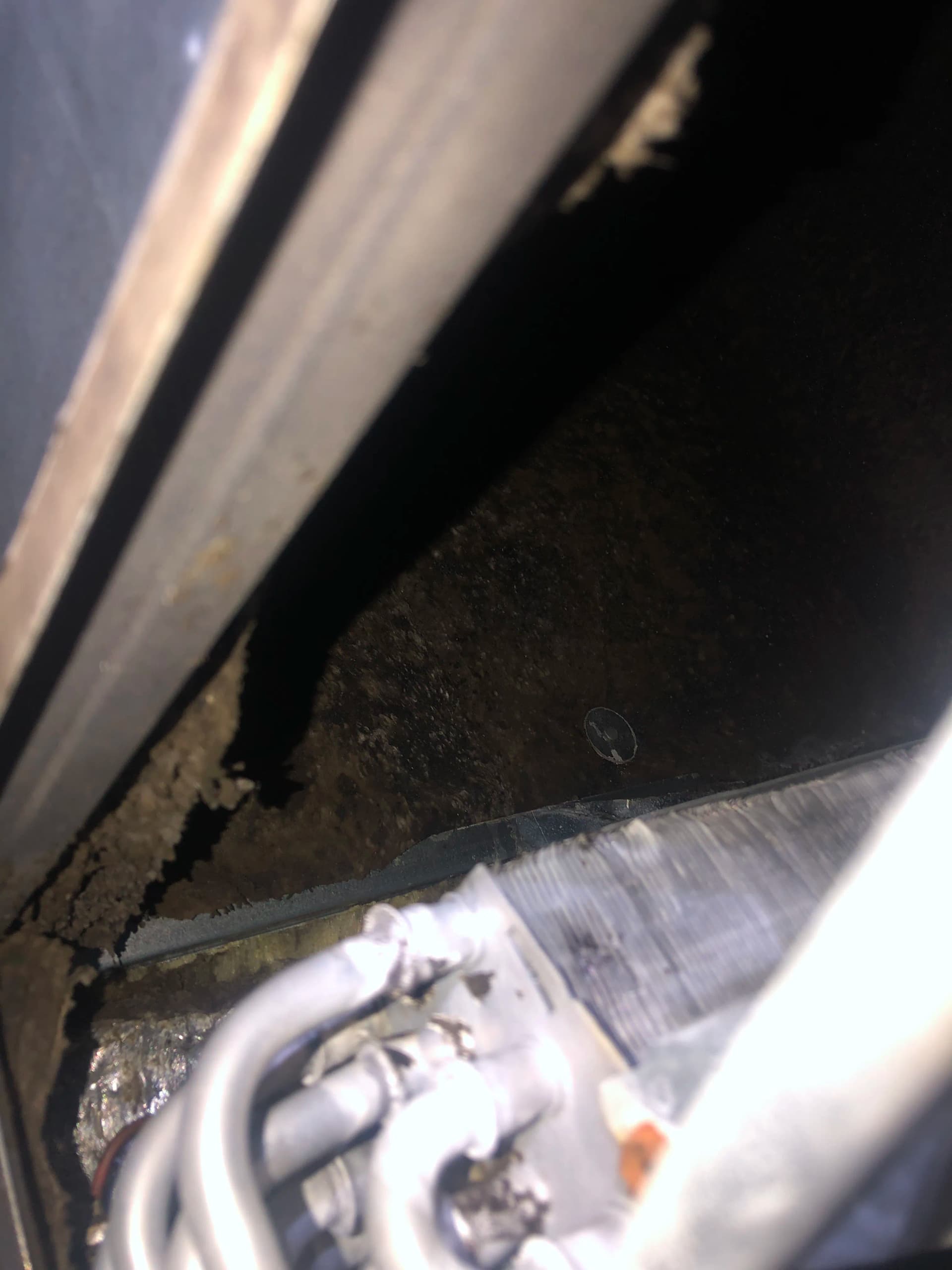 Gallery photos for Clogged Condensate Drain Line Cleared and Treated: Image #1