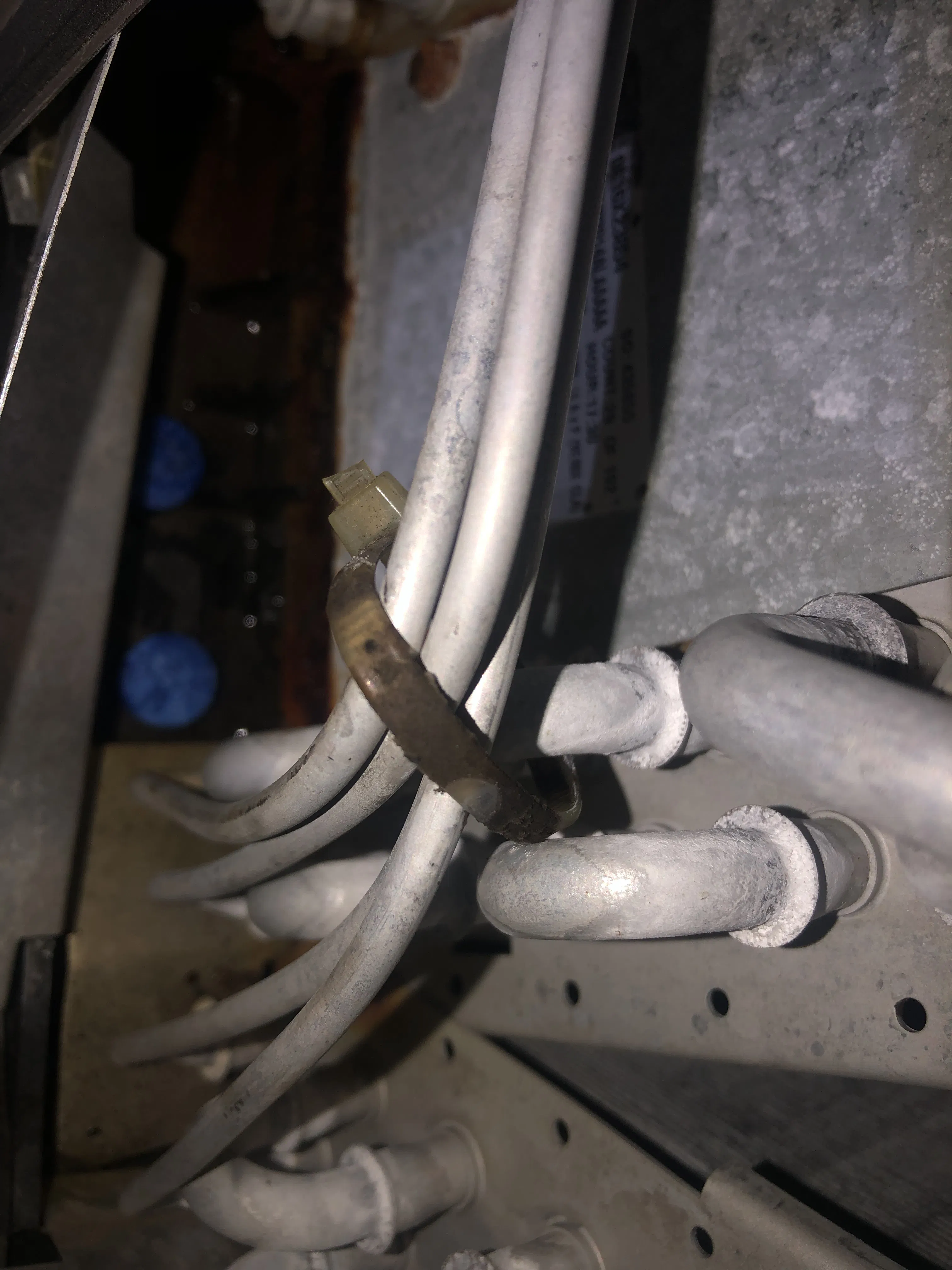 Project Clogged Condensate Drain Line Cleared and Treated image