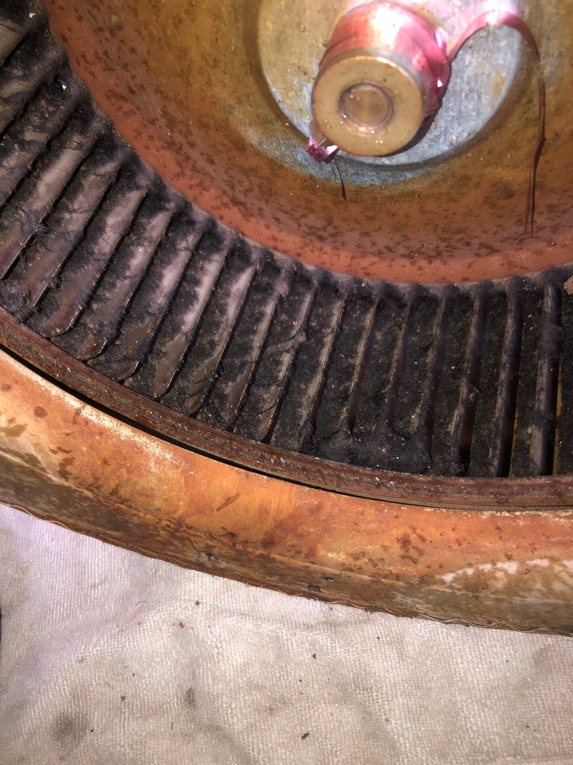 Gallery photos for Blower Assembly Pull and Clean Before and After: Image #3