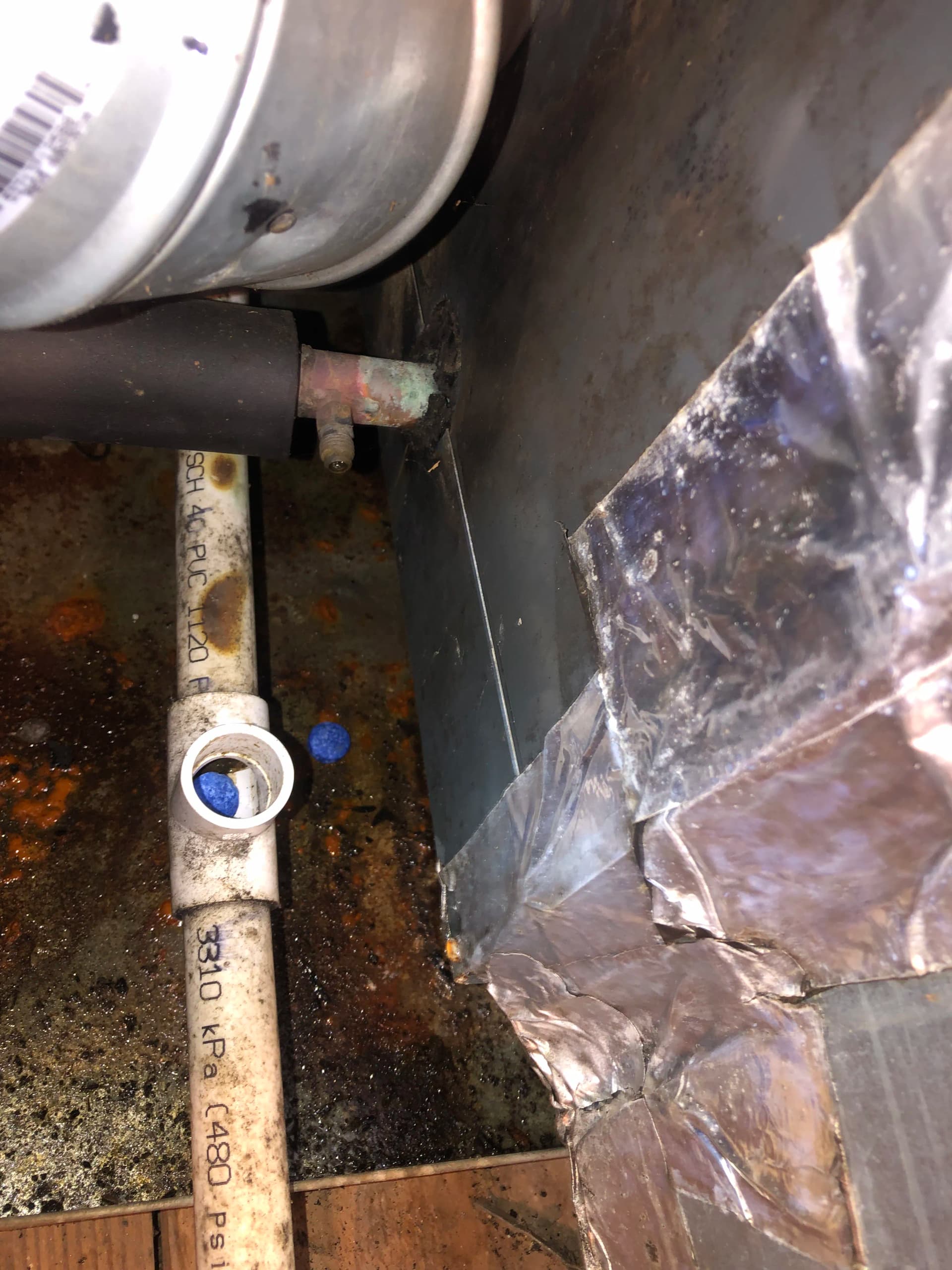 Gallery photos for Dirty Blower Wheel and Clogged Drain Line Cleaned and Cleared: Image #4