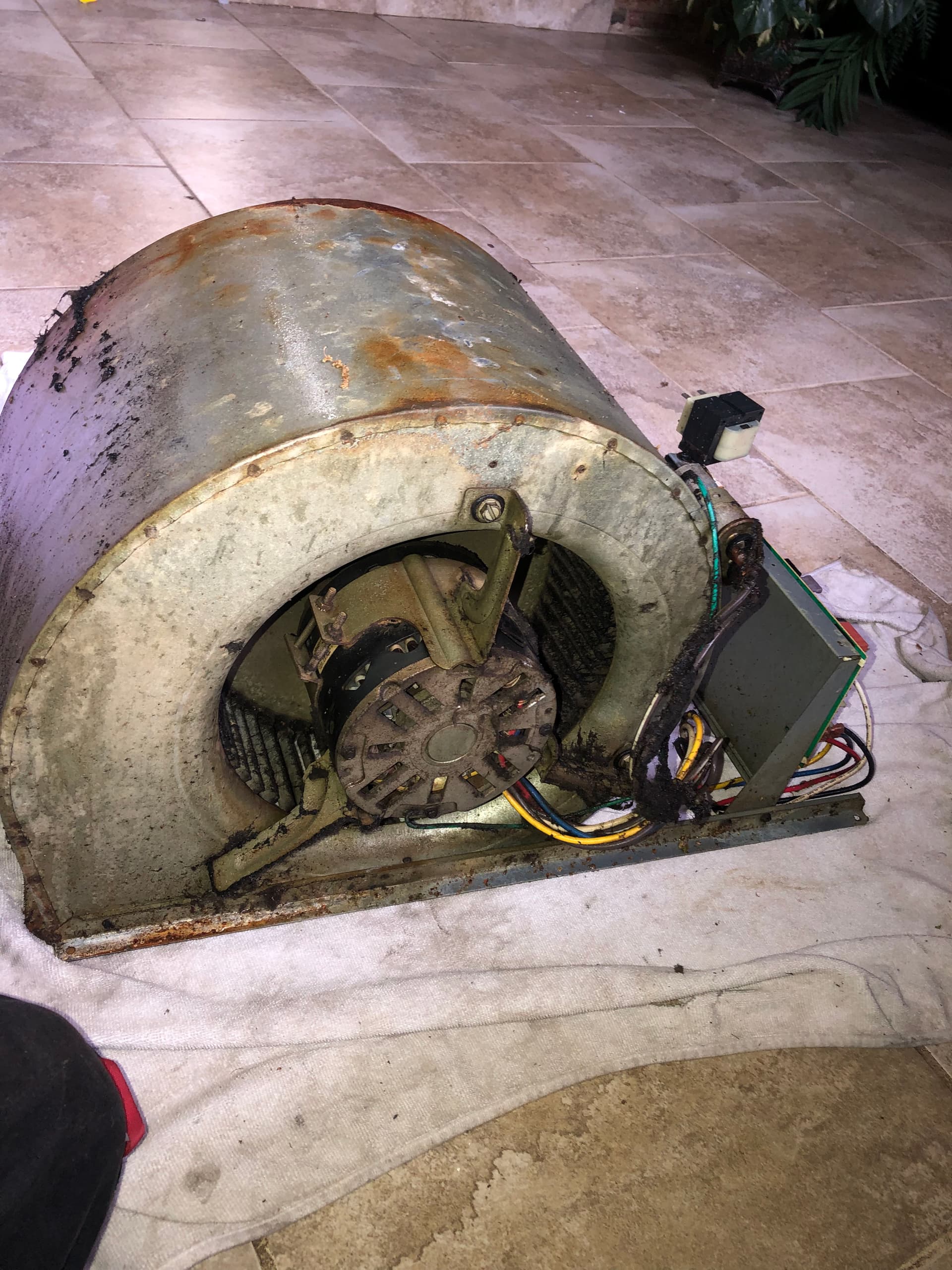 Gallery photos for Blower Assembly Pull and Clean Before and After: Image #2