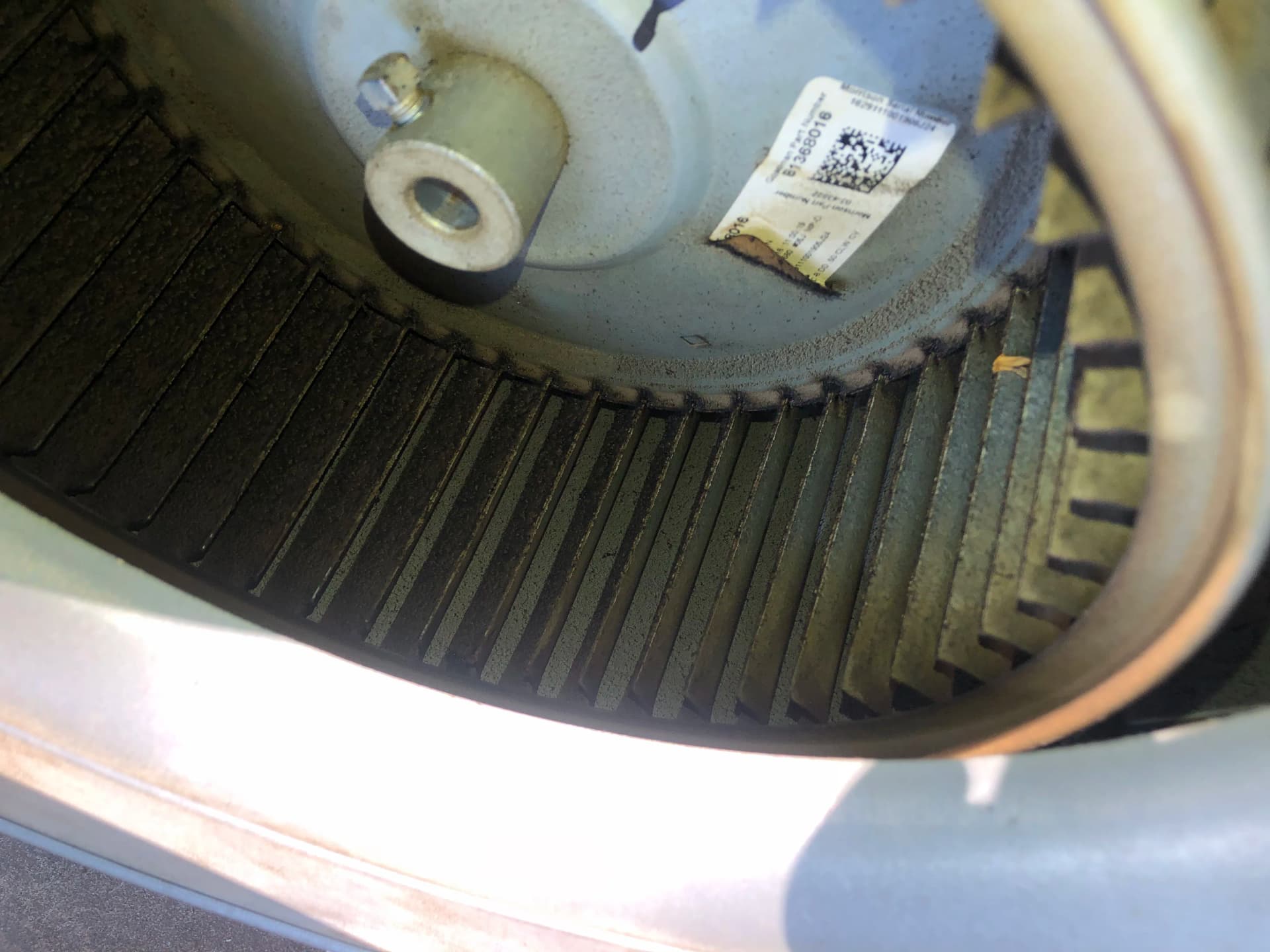 Gallery photos for Dirty Blower Wheel and Clogged Drain Line Cleaned and Cleared: Image #2