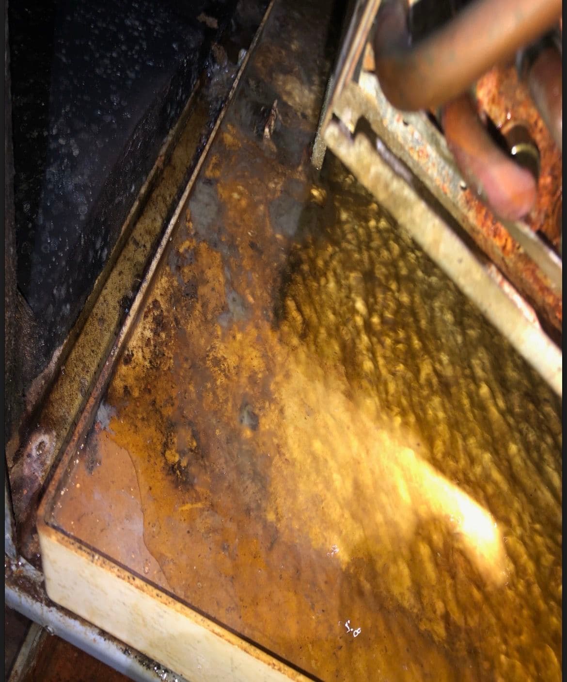 Gallery photos for Clogged Condensate Drain and Dirty Filter Fixed in Memphis: Image #2