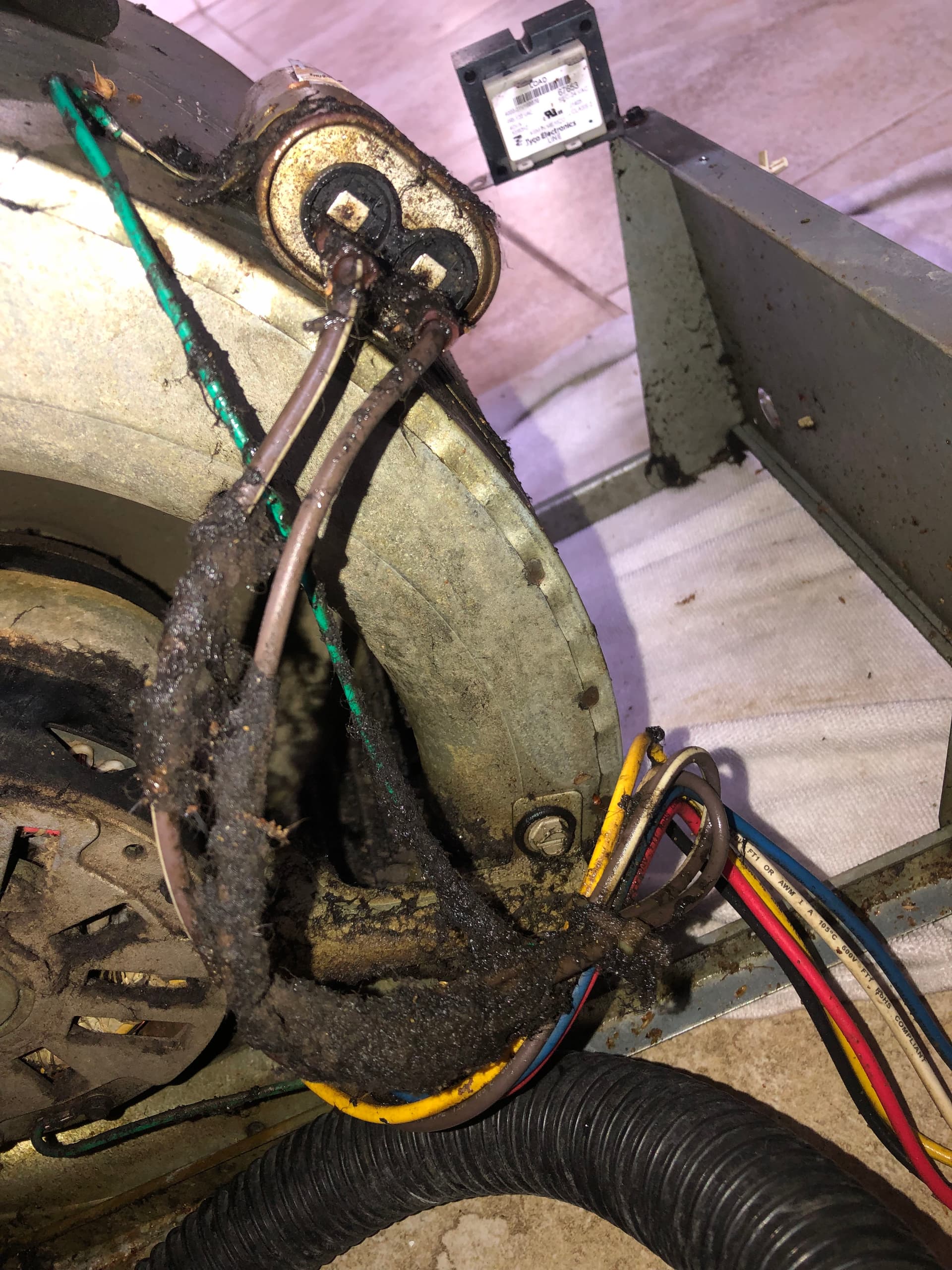 Gallery photos for Blower Assembly Pull and Clean Before and After: Image #4