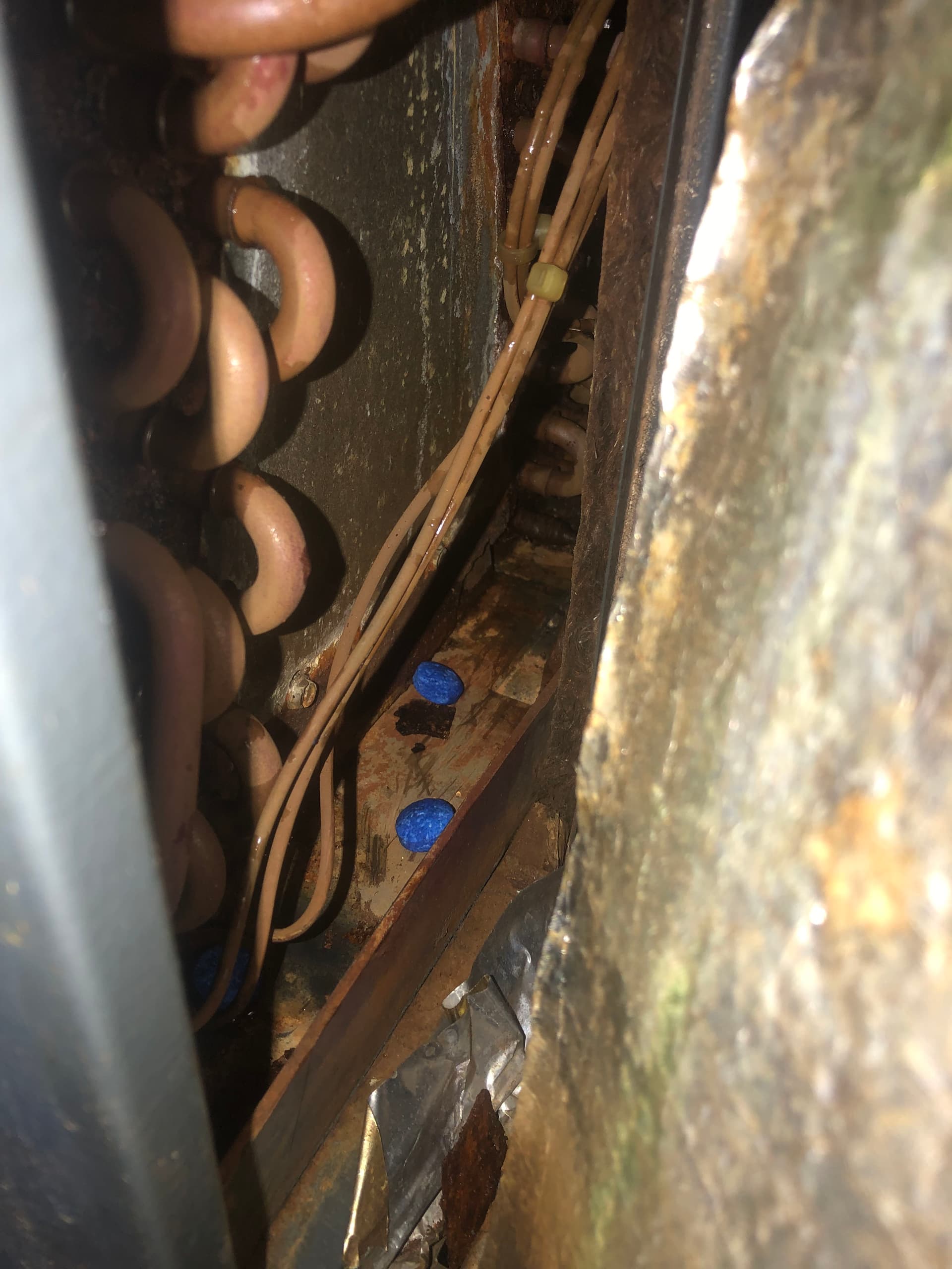 Gallery photos for AC Maintenance That Covers All the Bases: Image #3
