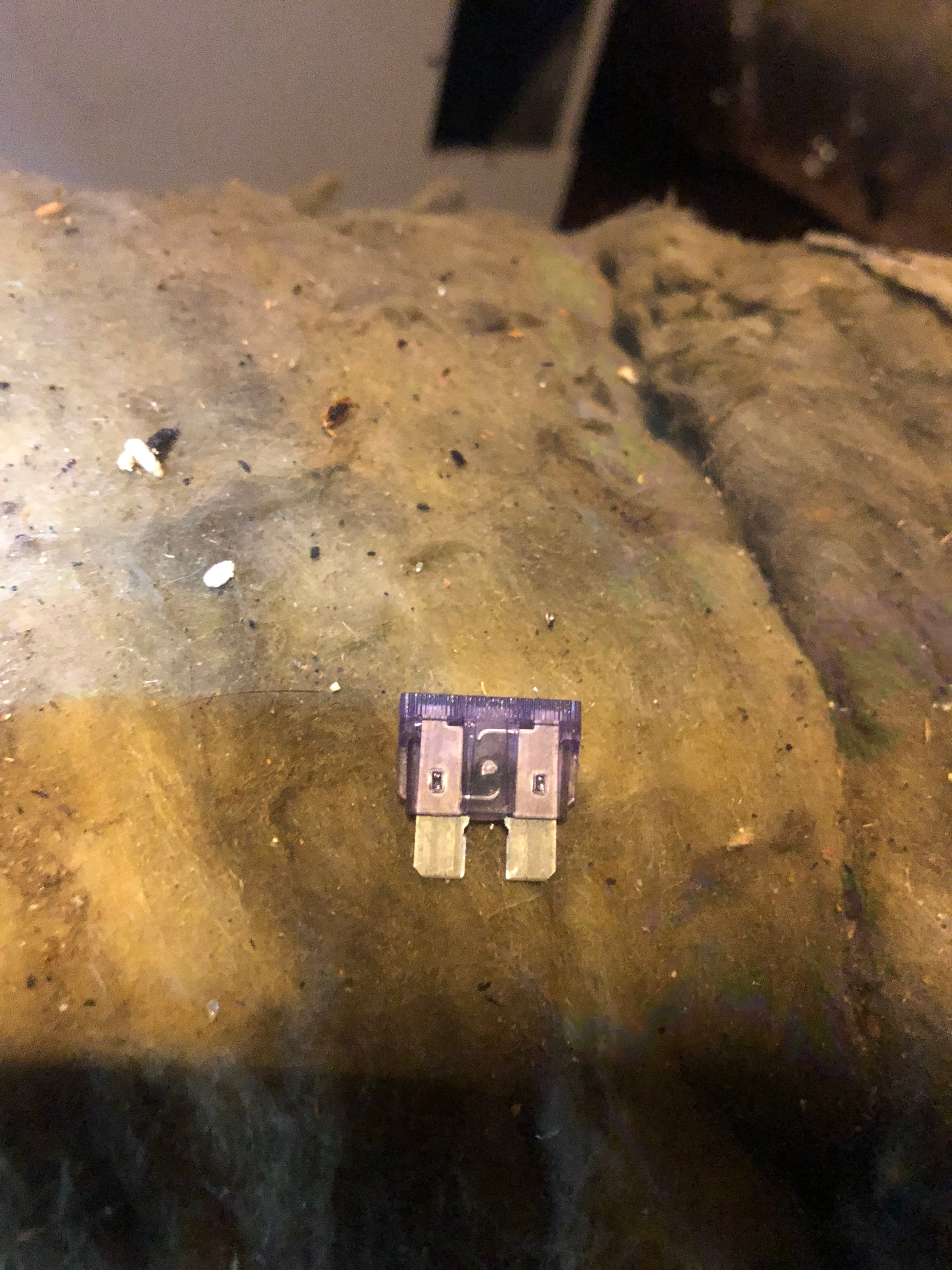 Project AC Not Cooling? A Blown Fuse and Bad Contactor Were the Culprits image