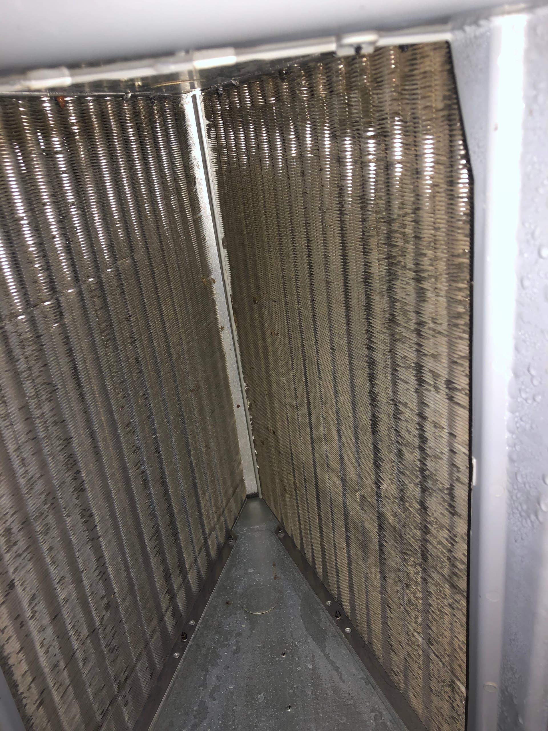 AC Not Keeping Up? A Refrigerant Recharge Might Be the Fix image