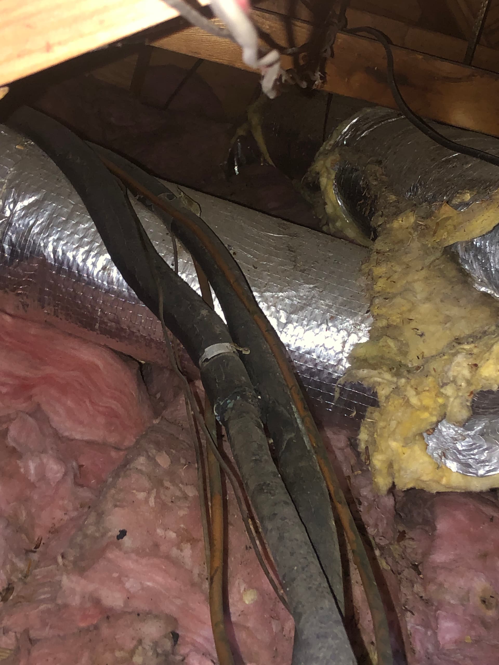 Gallery photos for What a Ductwork Inspection Actually Turns Up: Image #2