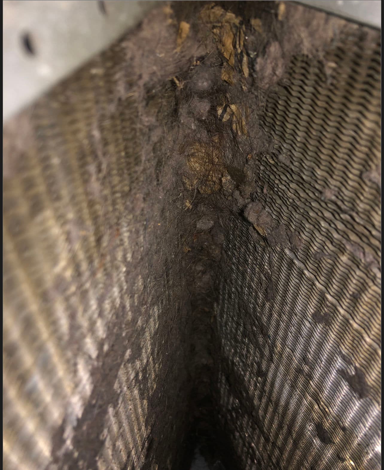 Gallery photos for Dirty Evaporator Coil Was Killing This Memphis AC's Cooling: Image #1