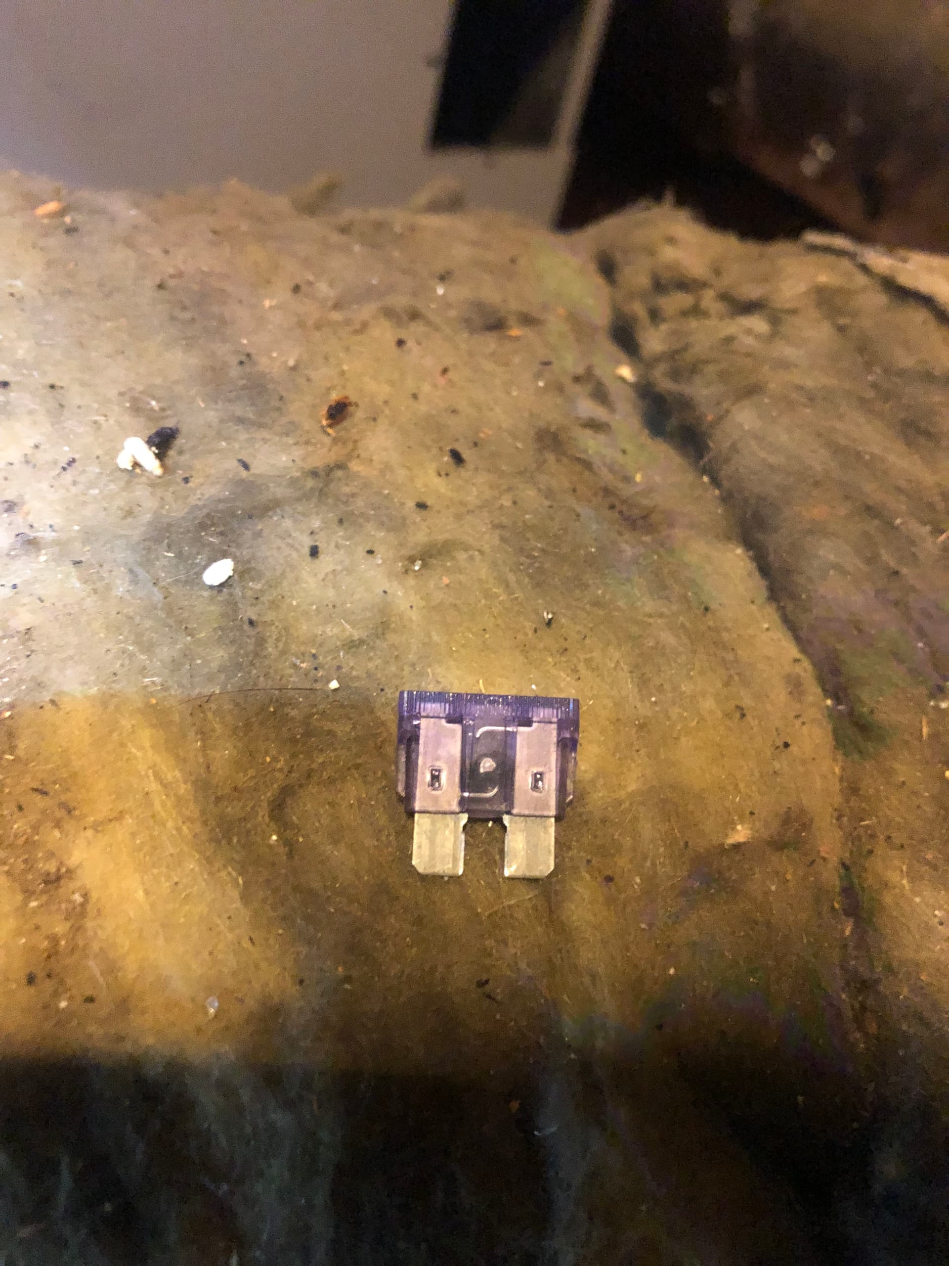 AC Not Cooling? A Blown Fuse and Bad Contactor Were the Culprits image
