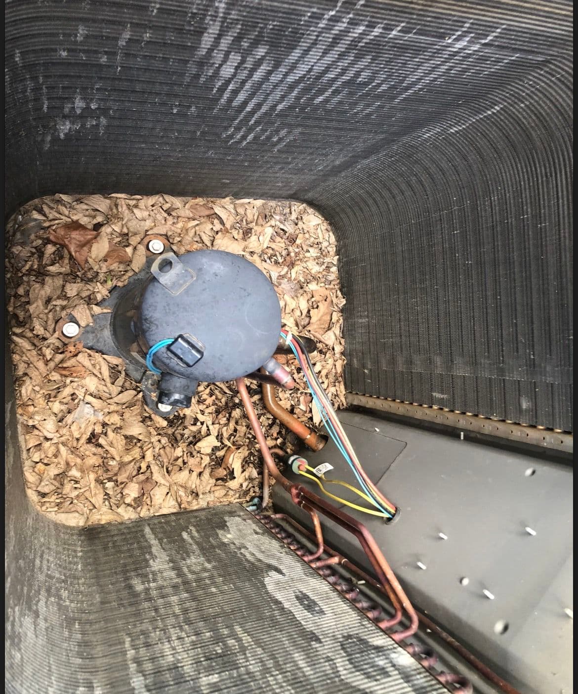 AC Not Cooling in Memphis - Dirty Coils and Low Refrigerant Fixed image
